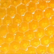 Продукция пчеловодства