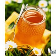 Мед и Продукция пчеловодства фото