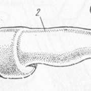 Электродвигатели к машинкам для стрижки овец фото