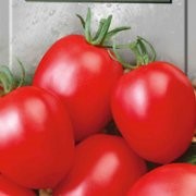 Семена томатов Лагидный фото
