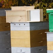 Набор инвентаря для начинающего пчеловода фото