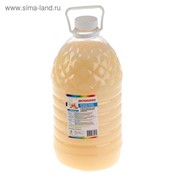 Мыло жидкое Диспенсерное Мёд и Молоко ПЭТ, 5 л