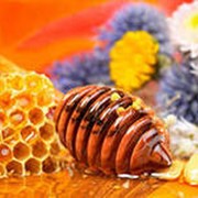 Мед разнотравье цветочный фотография