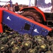 Комбайн для уборки капусты МК-1000 фото