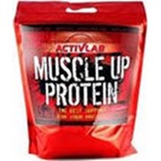 Протеин ActivLab Muscle Up Whey protein 2000 гр. фото