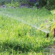 Автополив фото