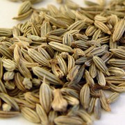 ФЕНХЕЛЬ семена (Египет) фотография