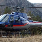Заказ вертолета в Севастополе фото
