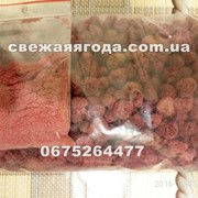 Порошок сушеная малина сорта Полка фото
