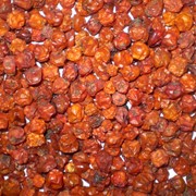 Рябина обкновенная, плоды Sorbi aucupariae, fructus фото