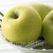 Яблоки голден фотография