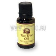 Tee Tree Oil (Масло чайного дерева) фотография