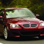 Заглушка отверстия галогена BMW 3 (E36), 12.90-03.00 DMP200727-1 фото