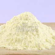 Сухое молоко(купить оптом Киев, Украина) фото