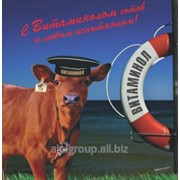Комплекс витаминов Витаминол новотельные коровы от 1 до 10 дней фото
