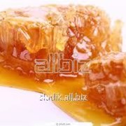 Мед подсолнечный (1800) кг фото