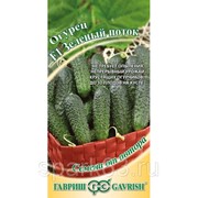 Огурец Зеленый поток F1 10шт. (Гавриш) фото