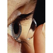 Однодневные контактные линзы фото