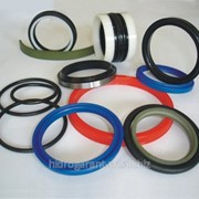 Манжеты,Сальники,Направляющие кольца,Имеем все диаметры и размеры ТОЛЬКО ЕВРОПЕЙСКОГО КАЧЕСТВО по ВЫГОДНЫМ ЦЕНАМ фото