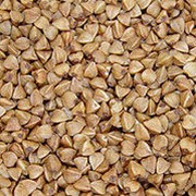 Насіння озимої пшениці сорт “Золотоколоса“ (с/еліта, еліта, перша репродукція) фото