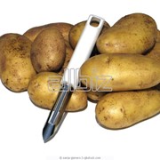 Переработка картофеля