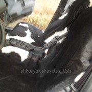 Автомобильный чехол, из шкуры коровы фото