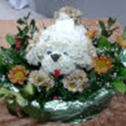 Игрушки из цветов, Симферополь фото