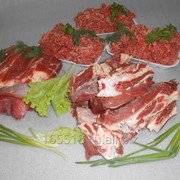 Мясо говядина в тушах