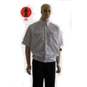 Рубашки форменные фото