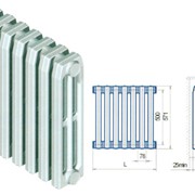 Радиатор чугунный Т3-140-500 фото