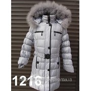 Куртка удлиненная ракушка Код: 12-16, Пальто с капюшоном фото