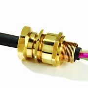 Кабельные вводы. Взрывозащищенные кабельные вводы для небронированного кабеля, в том числе для кабеля, проложенного в гибком шланге, в металлорукаве или в трубе (с резьбовым присоединением трубы). A2F, SS2K, A2FRC, A2FFC