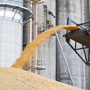 Грузоперевозки зерна в вагонах-зерновозах по Украине, странам СНГ и Европе фото