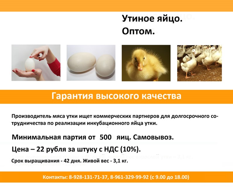 Заяц утка яйцо игла. Смерть кощея бессмертного. Игла в яйце яйцо в утке утка в зайце заяц. Игла в яйце яйцо в утке утка в зайце. Кощей бессмертный смерть в яйце.