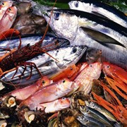 Фосфаты для обработки рыбы и морепродуктов фото