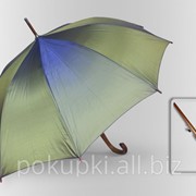 Зонт Антишторм трость Зелено - синий фото