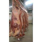 Мясо говяжье полутуши охлажденное фото
