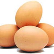 Яйца бройлеров