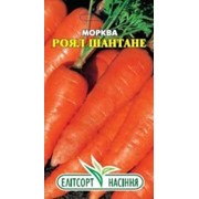 Семена моркови Роял Шантане 2 г фото