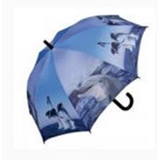 Зонт автомат Doppler ’Mini Ornamentic Fiolet’ фото