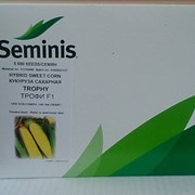 Продаем семена кукурузы Трофи F1 в Краснодаре  фото