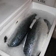 Рыба охлаждённая, доставка по Крыму