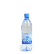 Вода питьевая “Анюта“ обработанная газированная 0,5л продажа в Украине фото
