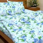 Ткань постельная Бязь 125 гр/м2 150 см Набивная цветной 1758-2/S TDT фотография