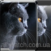 Чехол на iPad 2/3/4 Красивый кот “3038c-25“ фотография