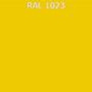 RAL 1023