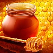 Honey фотография
