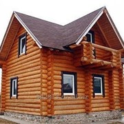 Постройка дома из рубленного или оцилиндрованного бревна фото