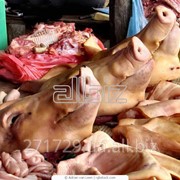 Головы свиные фото