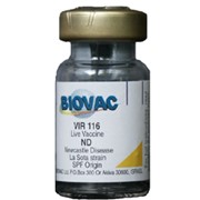 Вакцина живая Vir 116 фото